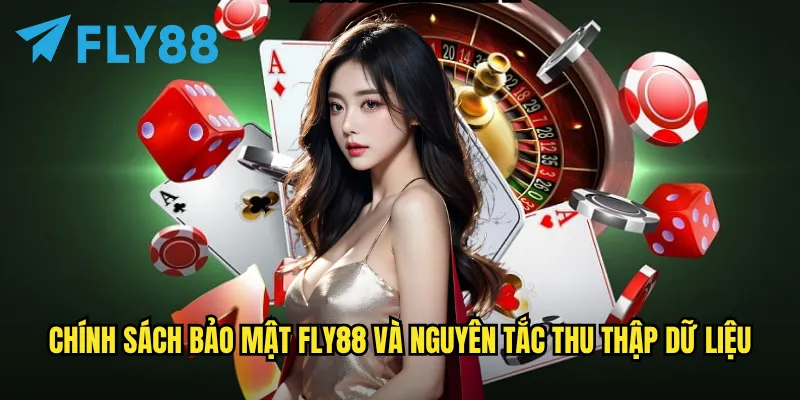 Chính Sách Bảo Mật fly88 - Cam Kết Bảo Vệ Thông Tin Người Chơi 1 Chính Sách Bảo Mật fly88 và nguyên tắc thu thập dữ liệu